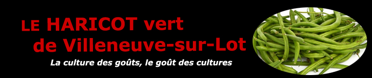 Le haricot vert de Villeneuve-sur-Lot