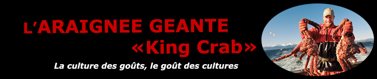 Le King Crab