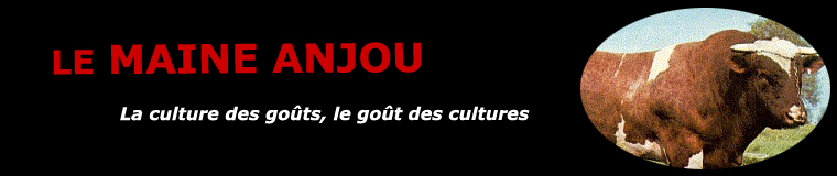 Le Maine-Anjou