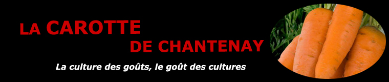 La carotte en Anjou