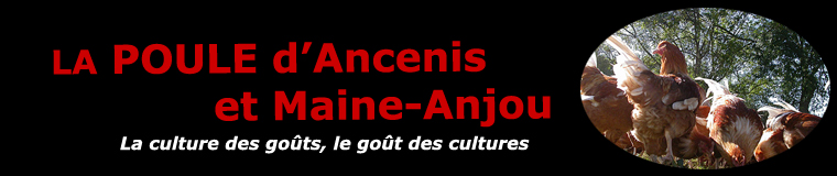 La volaille d'Ancenis et de Maine-Anjou