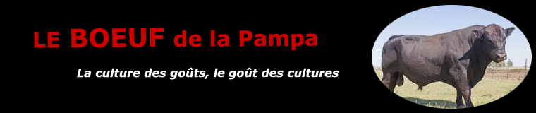 Le boeuf de la Pampa