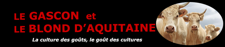 Le boeuf Gascon et le Blond d'Aquitaine