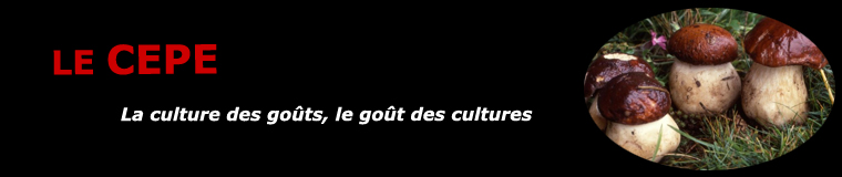 Le cèpe