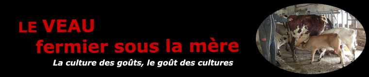 Le veau fermier élevé sous la mère