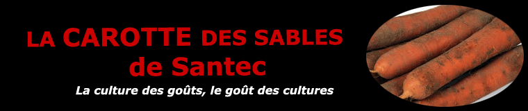 La carotte de sable de Santec
