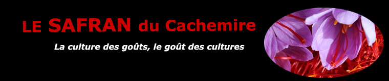 Le safran du Cachemire
