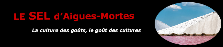 Le sel d'Aigues-Mortes