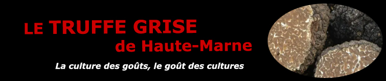 La truffe grise de la Haute-Marne