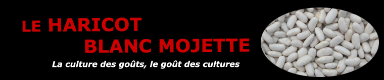 Le haricot blanc mojette