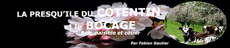 Cotentin