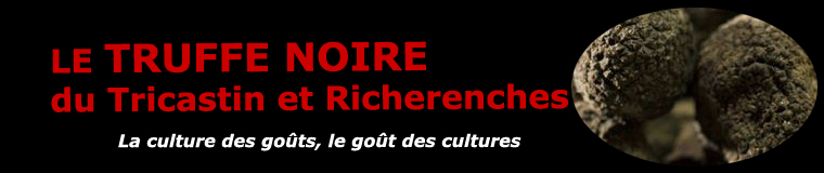 Le noir du Tricastin et de Richerenches