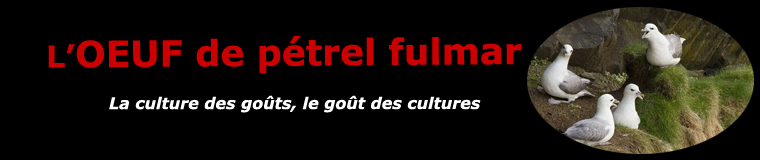 L'oeuf de pérel fulmar