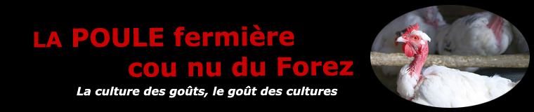 La volaille du Forez
