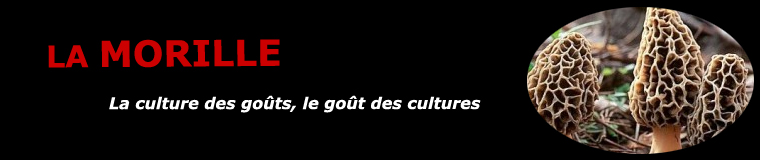 La morille