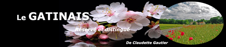 Le Gâtinais