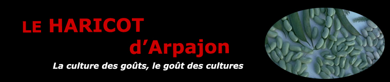 Le haricot d'Arpajon