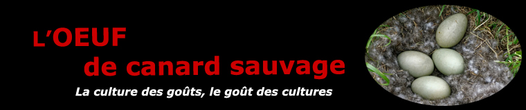 L'oeuf de canard sauvage