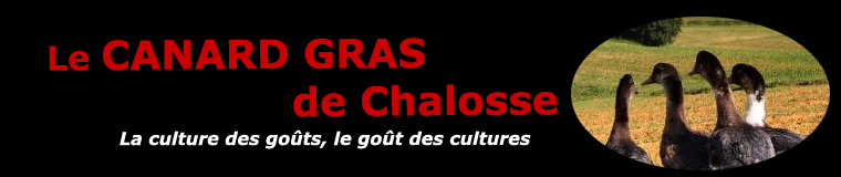 Le canard à foie gras du Sud-Ouest Landes-Chalosse