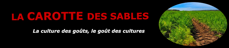 La carotte des sables des Landes