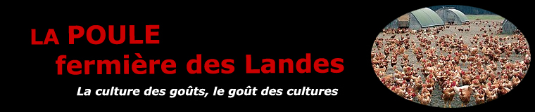 La Poule fermière des Landes