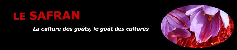 Le safran