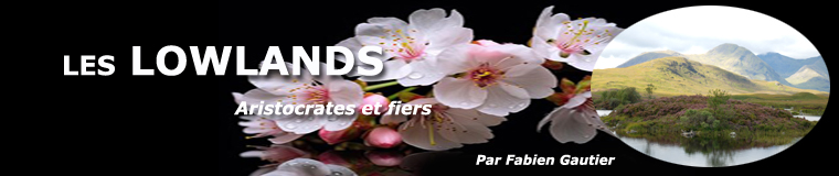 Région des Lowlands