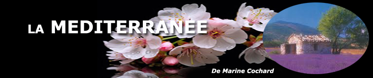 Les pays de la M�diterran�e