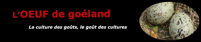 L'oeuf de goéland
