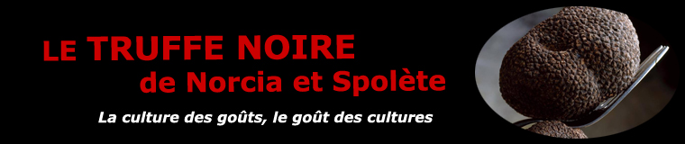 La truffe de Norcia et Spolète