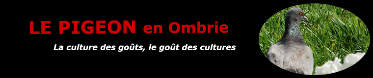 Le Pigeon