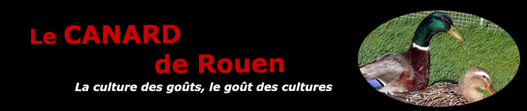 Le canard de Rouen Français