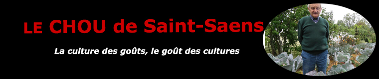 Le chou de Saint-Saens