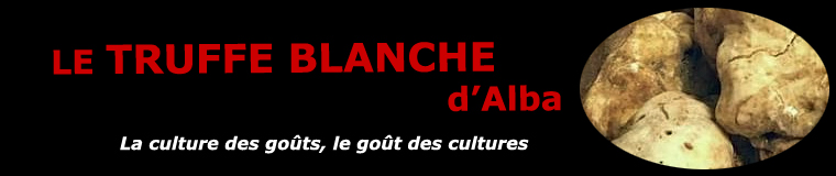 La truffe blanche d'Alba