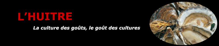 L'huître Kumamoto