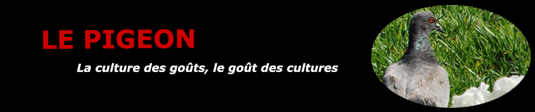 Le pigeon