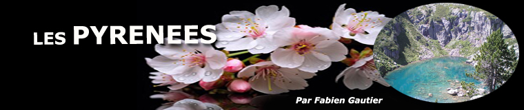 Les pays Pyr�n�ens