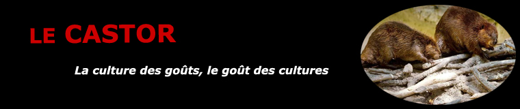 Le castor