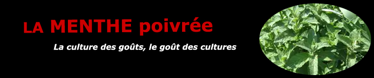 Menthe poivrée