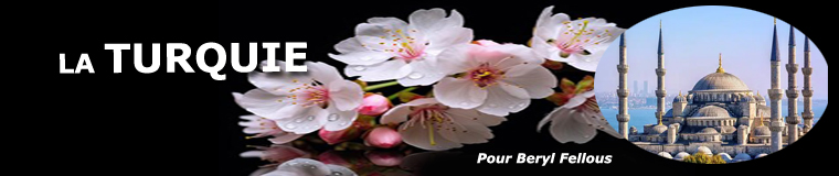 Turquie