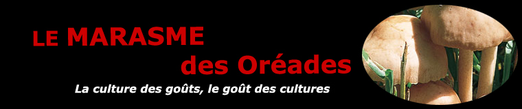 Le marasme des Oréades