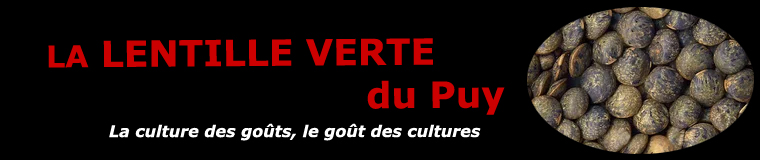 La lentille verte du Puy