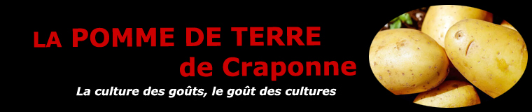 La pomme de terre de Crapone