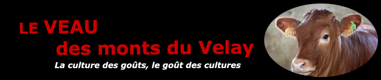 Le veau des monts du Velay