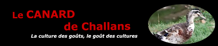Le canard de Challans